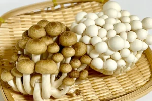 低カロリーで栄養満点！しめじの秘密