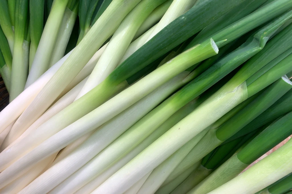 ネギの栄養と免疫力アップの関係
