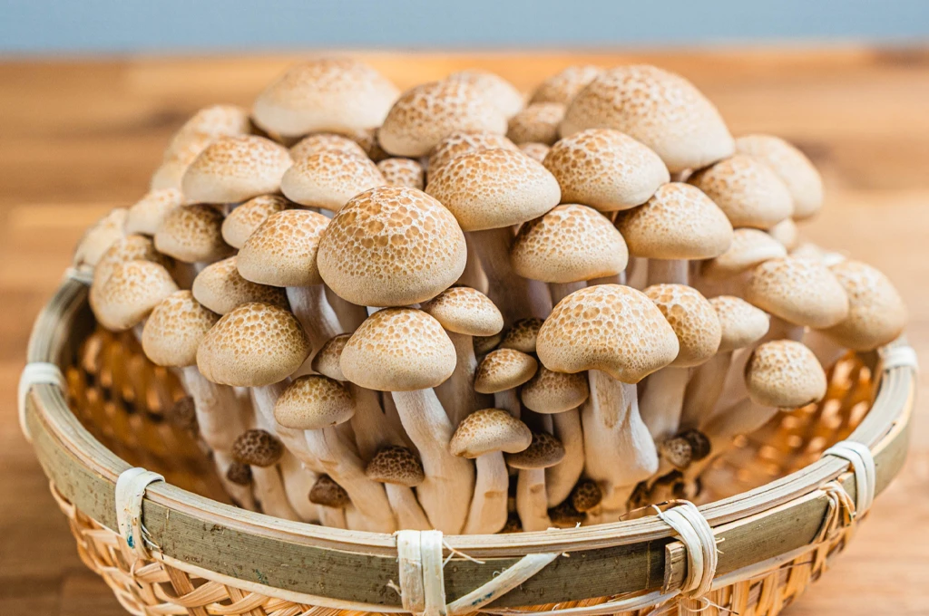 しめじの効果と栄養でダイエット