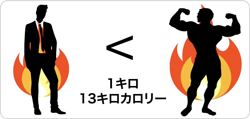 実は筋肉は1日で 13キロカロリーしか代謝は上がりません。