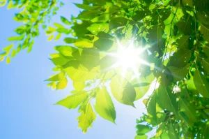 ビタミンD不足で起こる現象