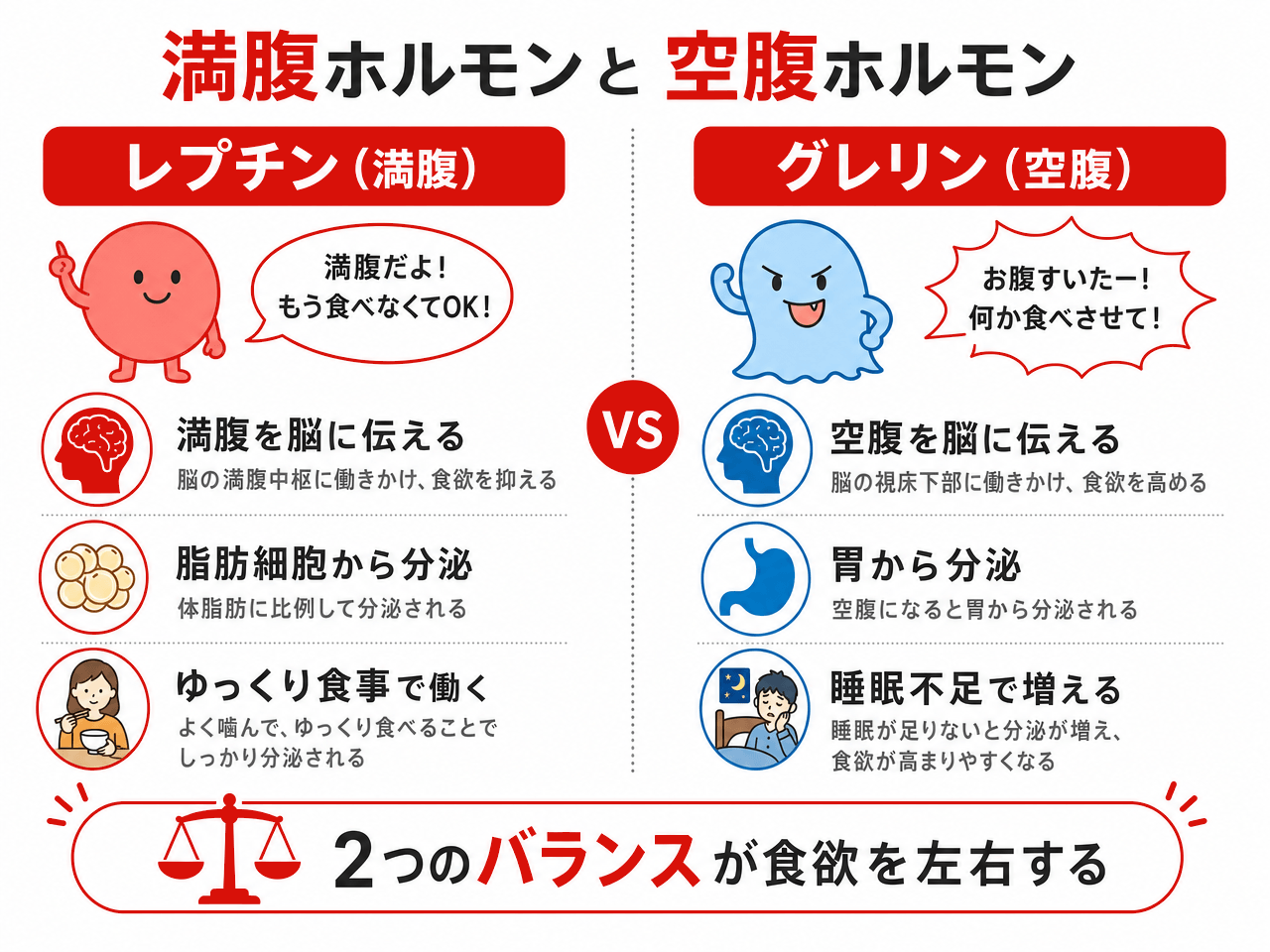 満腹ホルモン「レプチン」と空腹ホルモン「グレリン」を対比した図解。レプチンは満腹を脳に伝え・脂肪細胞から分泌・ゆっくり食事で働き、グレリンは空腹を脳に伝え・胃から分泌・睡眠不足で増える。2つのバランスが食欲を左右する。