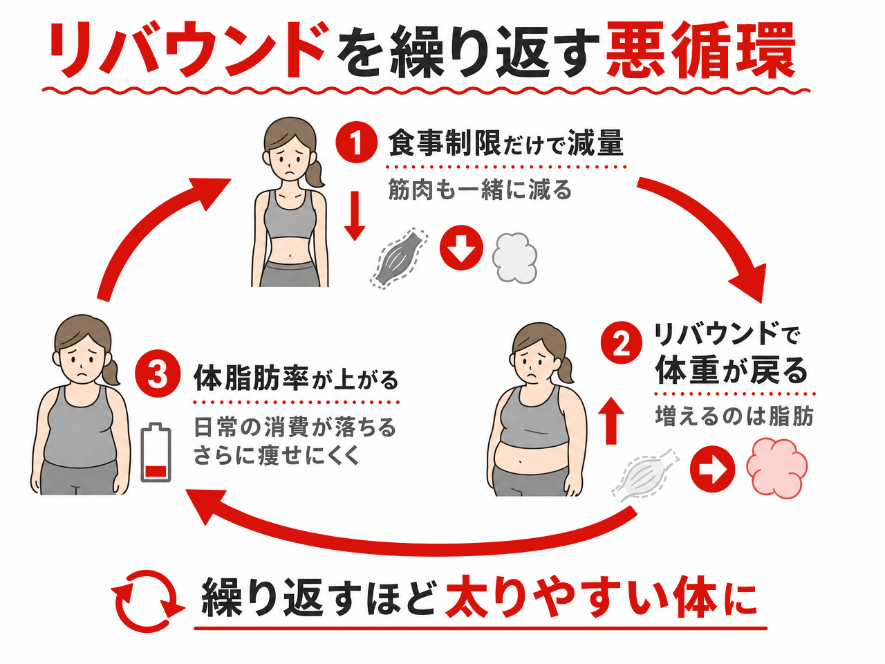 リバウンドを繰り返す悪循環の図解。①食事制限だけで減量すると筋肉も一緒に減る②リバウンドで体重が戻り、増えるのは脂肪③体脂肪率が上がり日常の消費が落ちてさらに痩せにくくなる。繰り返すほど太りやすい体になる。