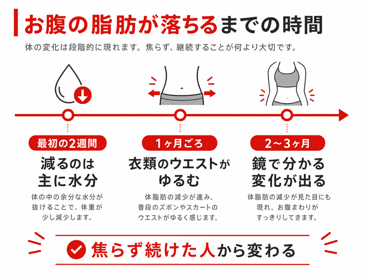 お腹の脂肪が落ちるまでの時間を示したタイムライン。最初の2週間は減るのが主に水分、1ヶ月ごろに衣類のウエストがゆるむ、2〜3ヶ月で鏡で分かる変化が出る