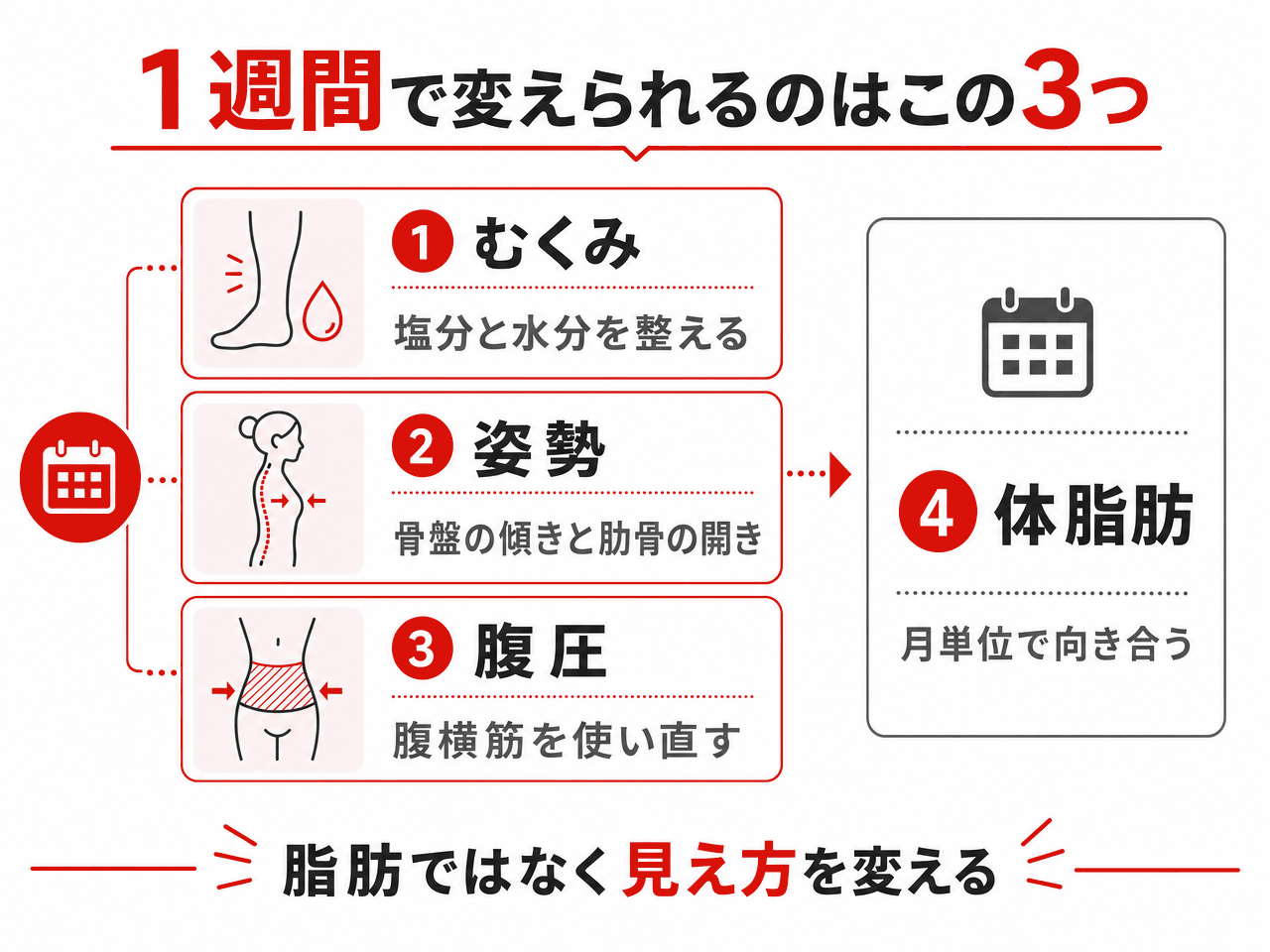 1週間で変えられるのはむくみ・姿勢・腹圧の3つ。むくみは塩分と水分を整える、姿勢は骨盤の傾きと肋骨の開き、腹圧は腹横筋を使い直す。体脂肪は月単位で向き合う。脂肪ではなく見え方を変える